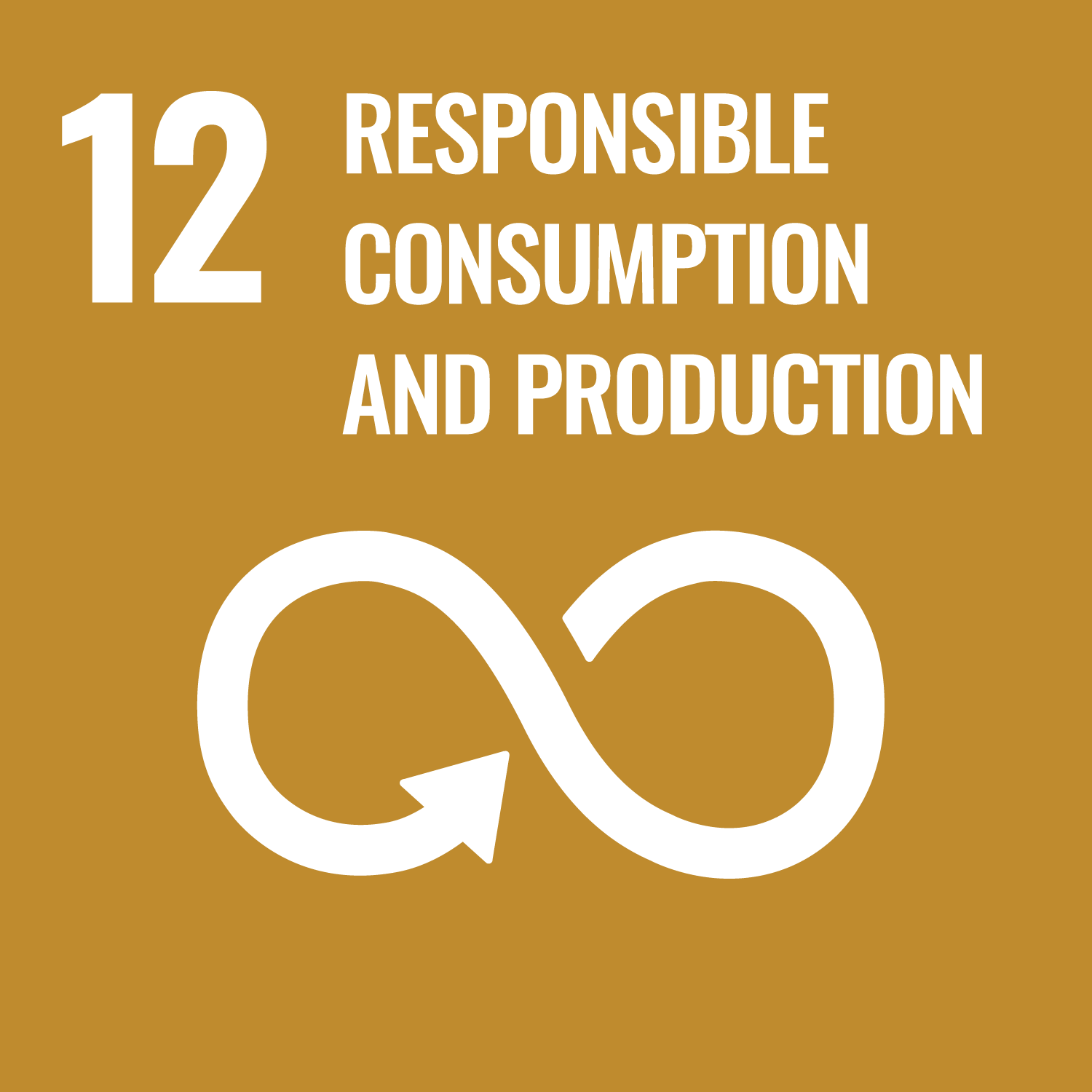 SDG 12 - Responsible Consumption