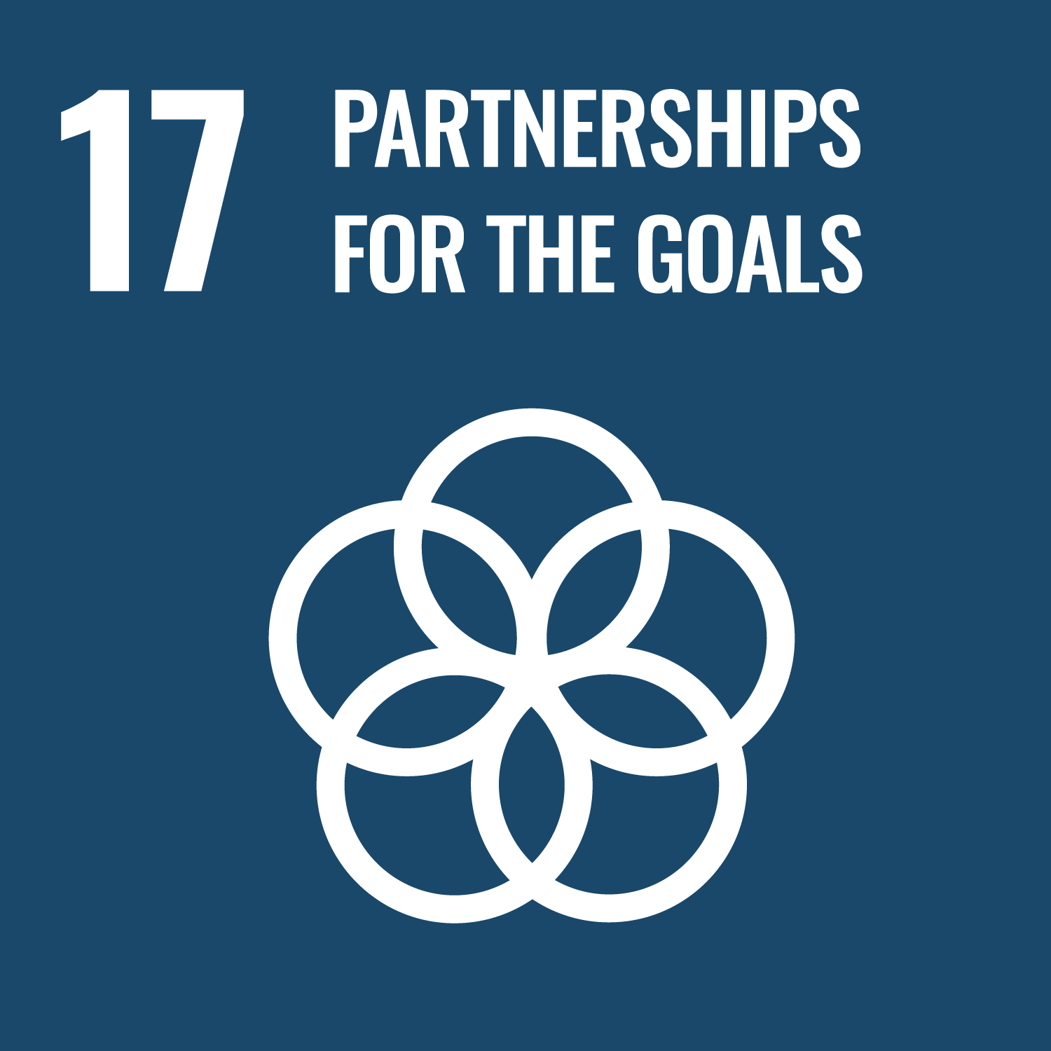 SDG 17 - Partnerships
